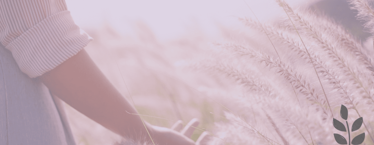 live wealthy, live well blog post