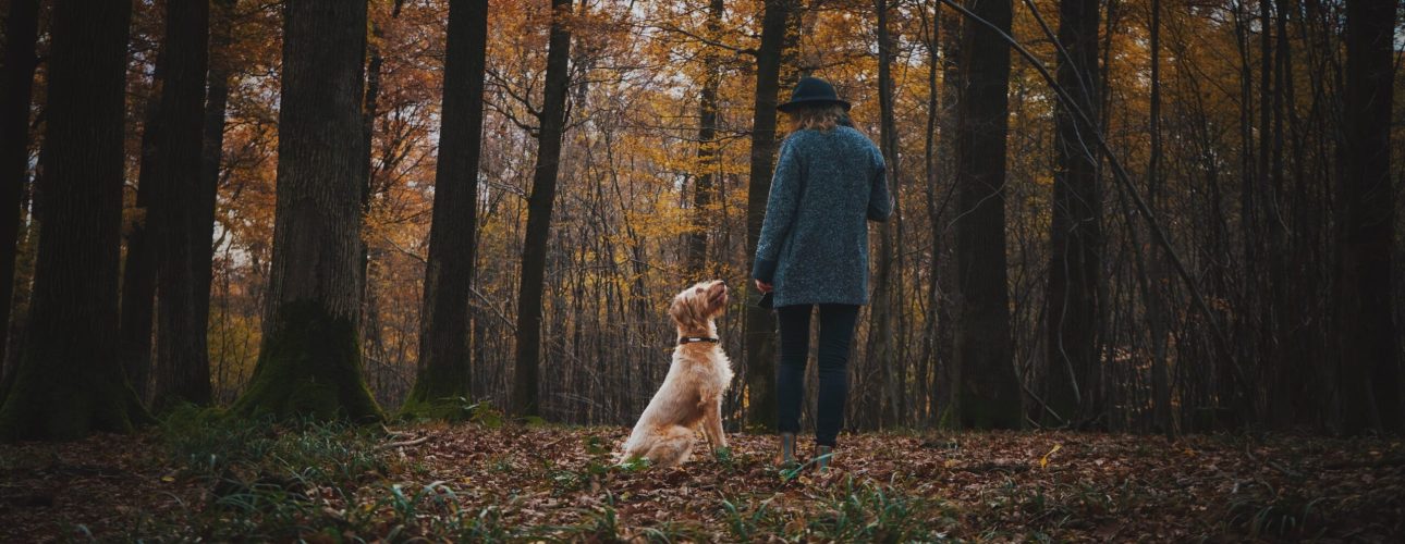 Navigating Divorce Finances