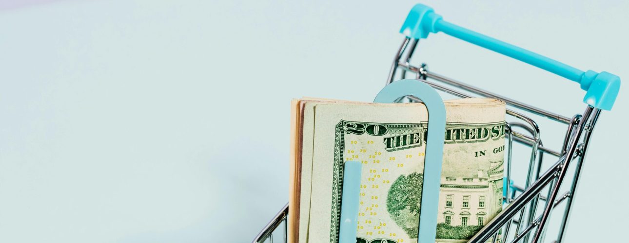 dollars in the grocery shopping cart showing how much the cost has gone up