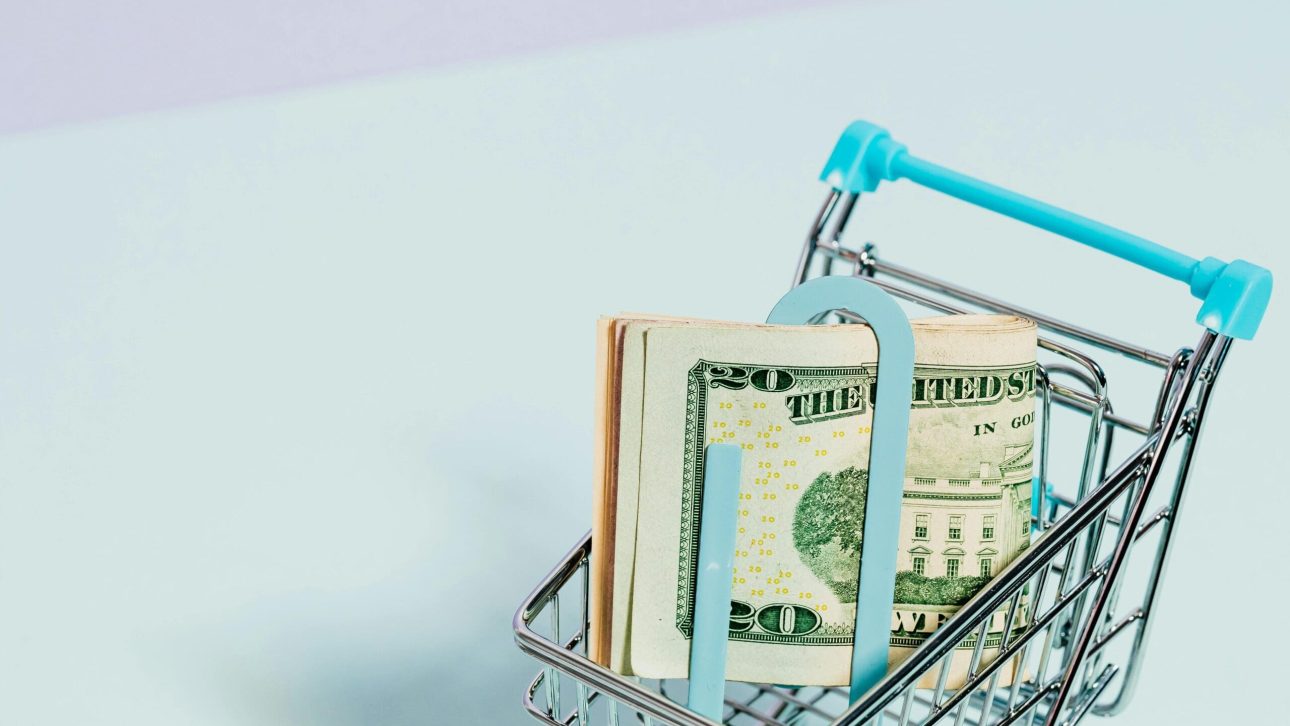 dollars in the grocery shopping cart showing how much the cost has gone up